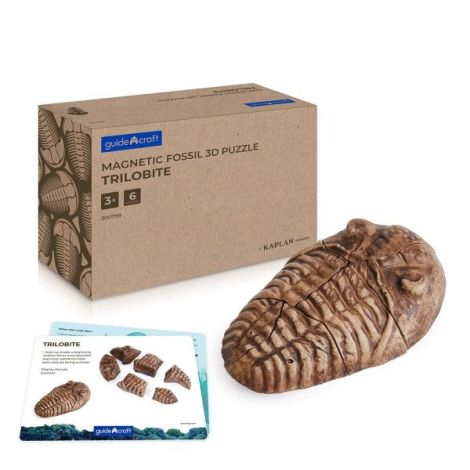Fosile Trilobit 3D Guidecraft - Puzzle Magnetic Educativ