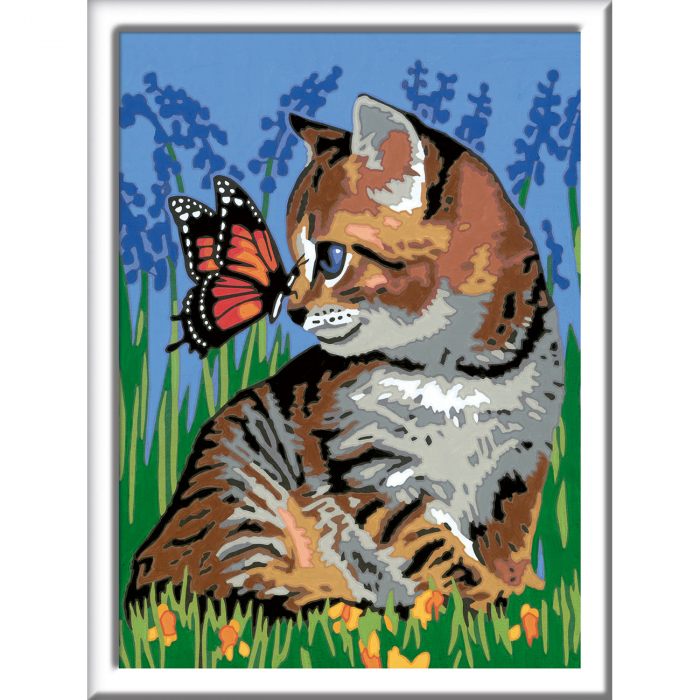 Pictura Pe Numere Pisicuta Ravensburger - Creativitate