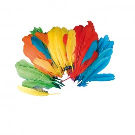 Set 120 Pene Indian 15cm, 5 Culori | Playbox