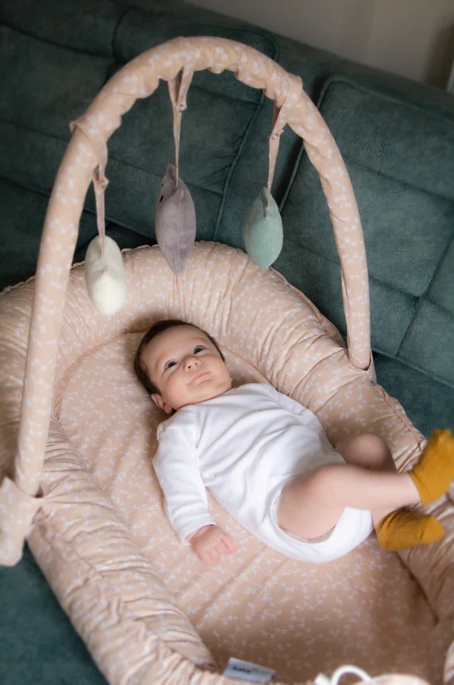 Salteluta Baby Nest Babyjem Somon - Siguranta si Confort - imagine 4