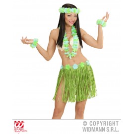 Set Hawaii Verde Widmann - Costum Carnaval