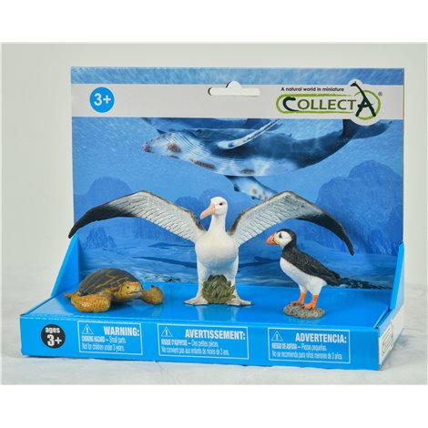 Set 3 Figurine Marine Collecta - Pictate Manual