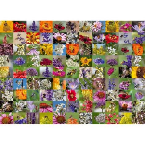 Puzzle Ravensburger 1000 Piese, Albine si Flori