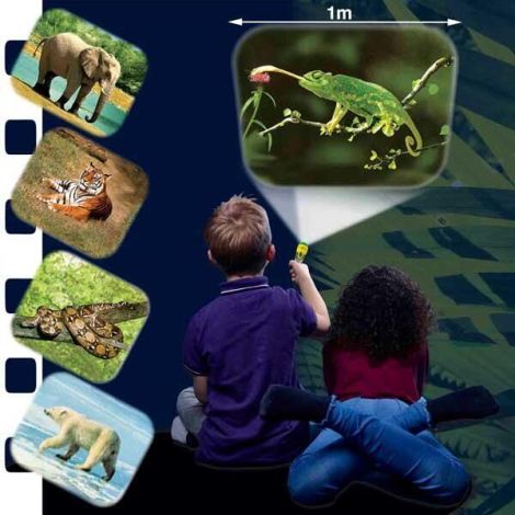 Proiector Animale Brainstorm | Lanterna Educativă - imagine 3