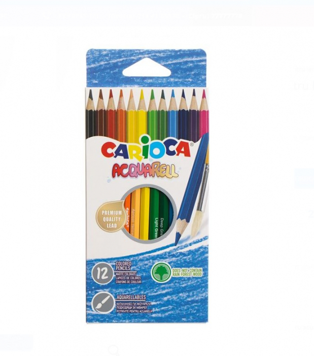 Set 12 Creioane Colorate Carioca Acquarell