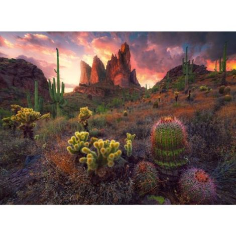 Puzzle Cactusi Ravensburger 500 piese, Relaxare - imagine 3
