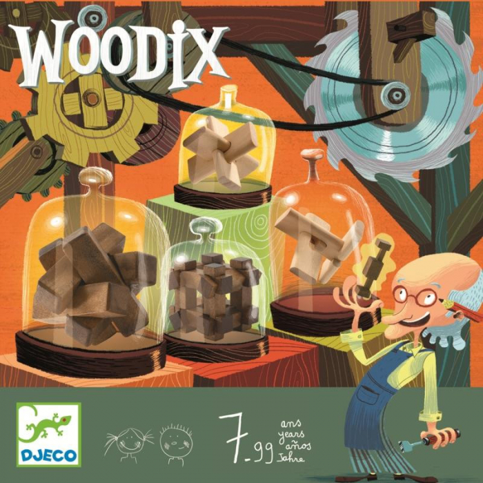 Woodix 6 jocuri logice Djeco din lemn
