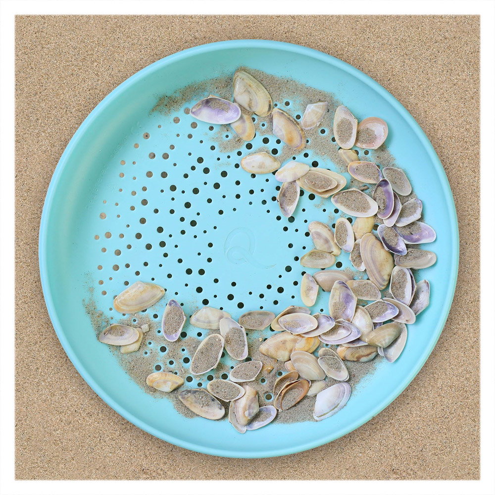 Disc Frisbee & Sita Nisip Quut Toys - 2 în 1 - imagine 2