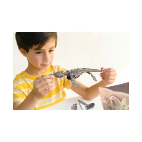 Set Dino Mosasaurus 4M - Sapa si Descopera - imagine 2
