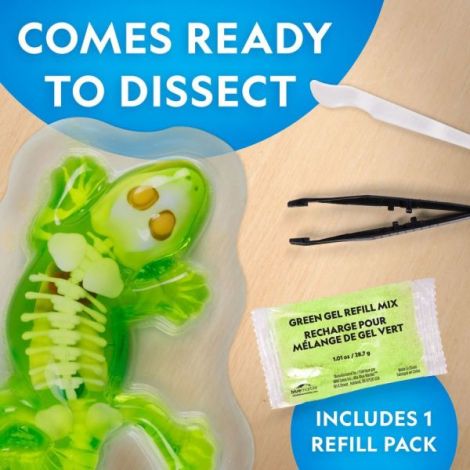 Kit Disecție Șopârlă National Geographic - imagine 6