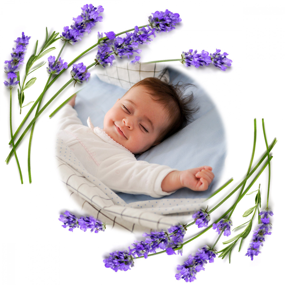 Pernă Semințe Cireșe Babyono Anti-Colici