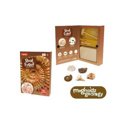 Kit Paleontologie Keycraft - Descoperă Fosile Reale