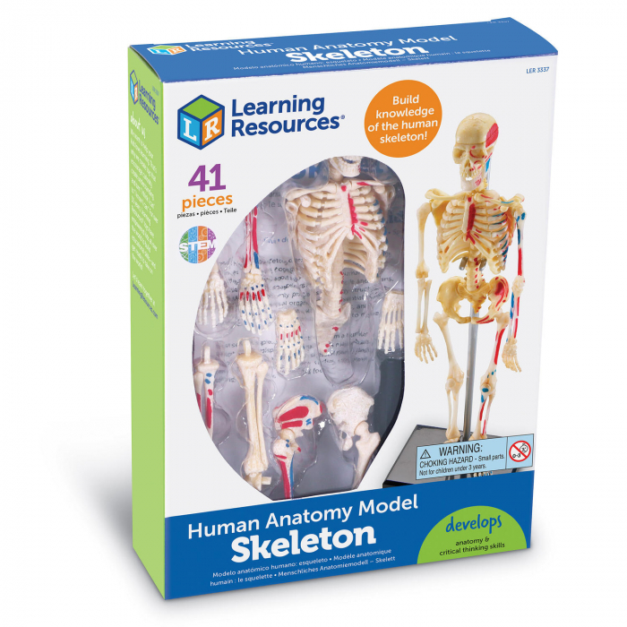Schelet Corp Uman Learning Resources - Jucarie Educativa