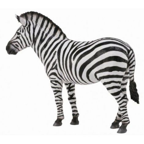 Figurina Zebra Collecta | Detalii Realiste