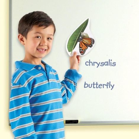 Set Magnetic Ciclul Fluturelui - Learning - imagine 3