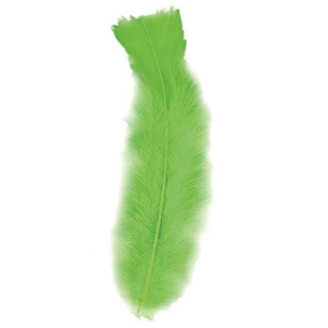 Set 50 Pene Verzi Widmann | Decor Carnaval