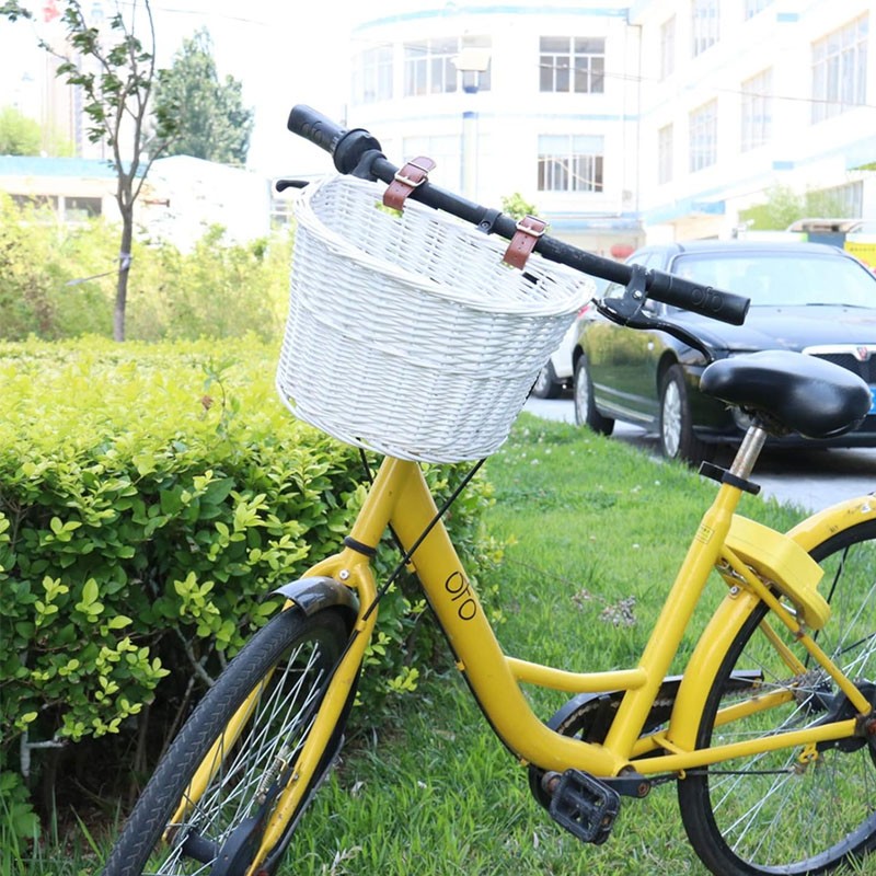 Cos Frontal Bicicleta Procart Ratan Alb