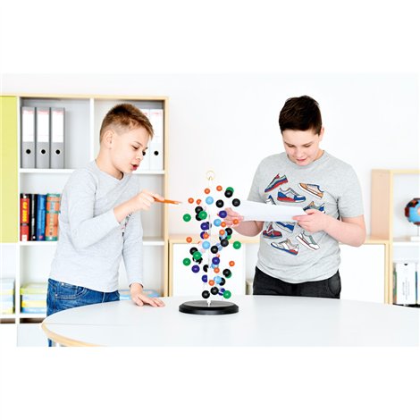 Model Proteină Moje Bambino - Didactic - imagine 3