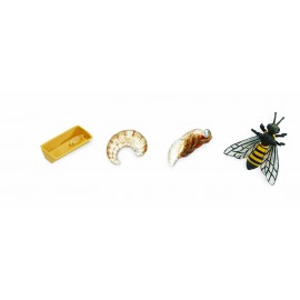 Ciclul Vieții la Albina Safari Ltd - Set Educativ 4 Figurine - imagine 3