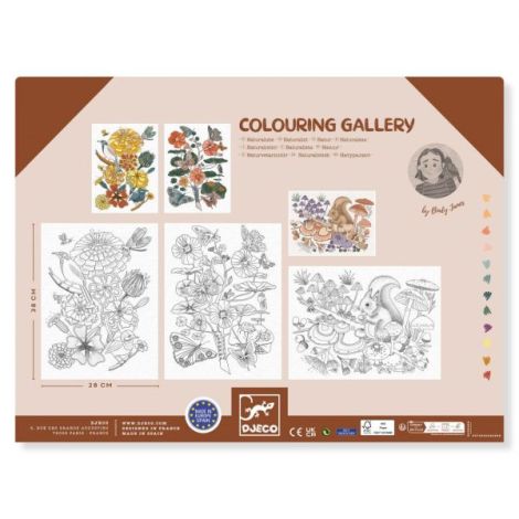 Mapa Colorat Natura Djeco | Postere Creativitate - imagine 3