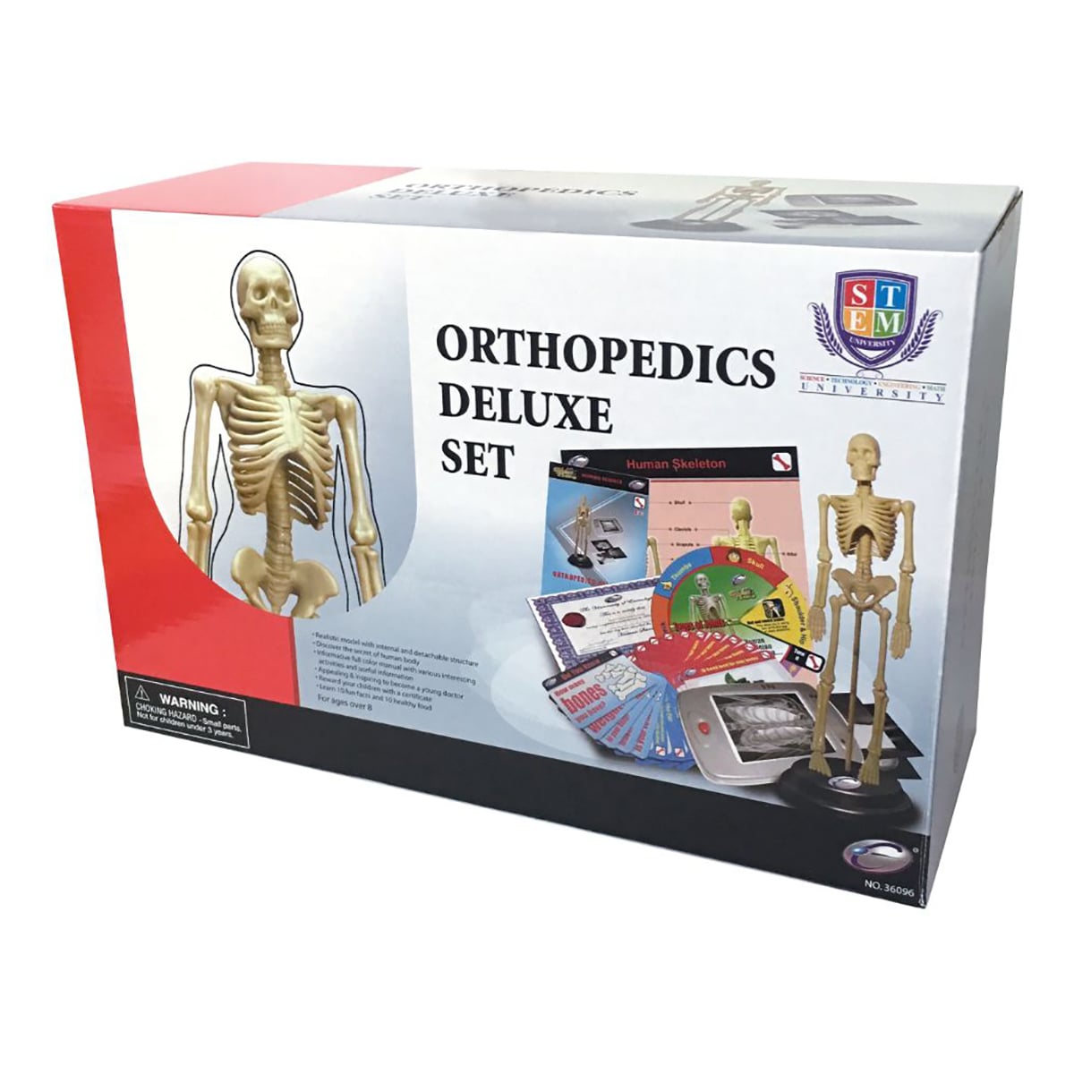Set Corpul Uman Eastcolight - Ortopedie Educationala
