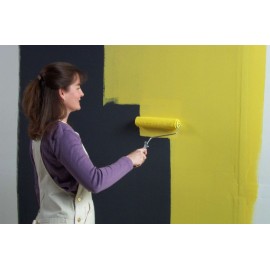 Vopsea Magnetica MagnetPaint 5L MagPaint - imagine 5