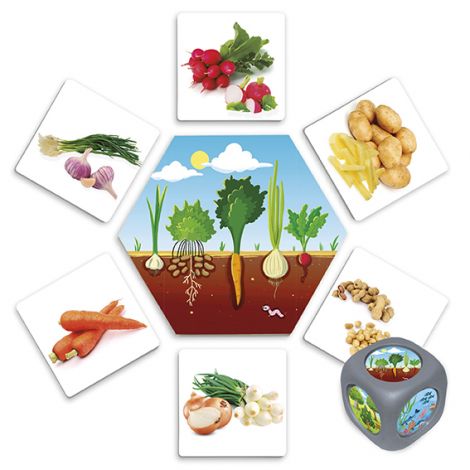Joc Akros De unde provin alimentele? - imagine 2