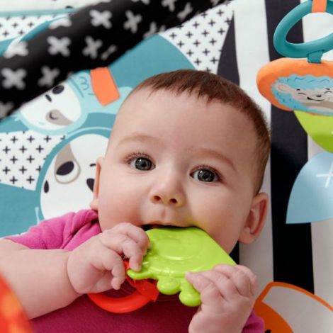 Fisher-Price Saltea Muzicală 3-în-1 Activități - imagine 5