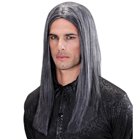 Peruca Victor Gri Adult Widmann | Carnaval - imagine 2