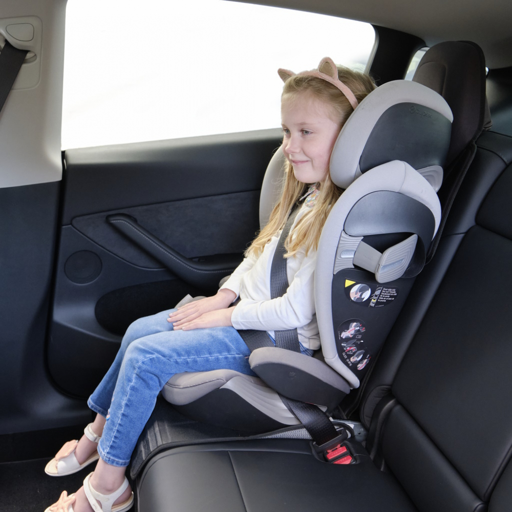 Protecție Banchetă Tesla Prince Lionheart - imagine 2