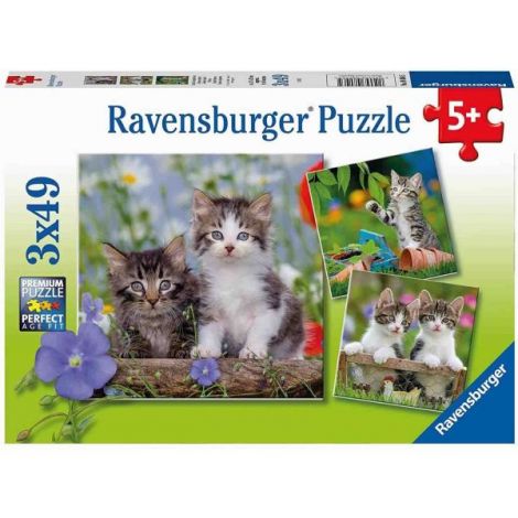 Puzzle 3in1 Pisicute Tigrate | Ravensburger - imagine 4