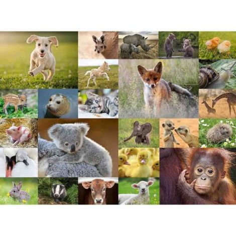 Puzzle Pui Animale 200 Piese Ravensburger