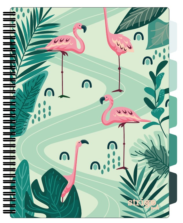 Caiet Strigo Project Book Jungle A4 Matematică