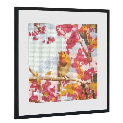 Diamond Painting Pasari - Set Creativ Craft id - imagine 3