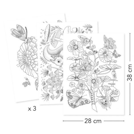 Mapa Colorat Natura Djeco | Postere Creativitate - imagine 2