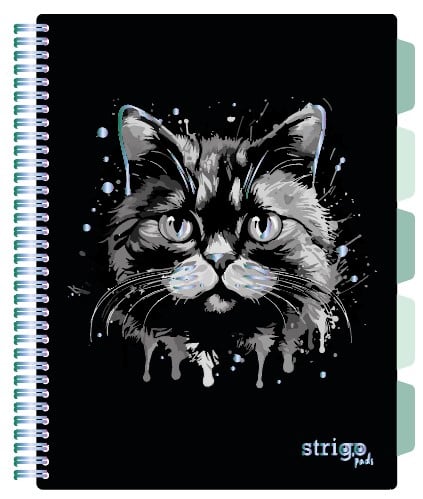 Caiet Strigo Project Book Pisica A4, Dictando