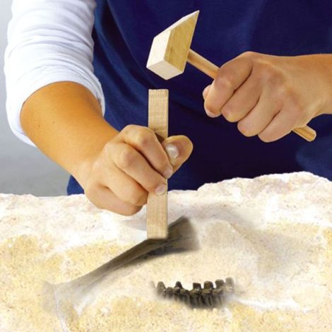 Set Arheologie Dinozaur T-Rex | Ses Creative - imagine 3
