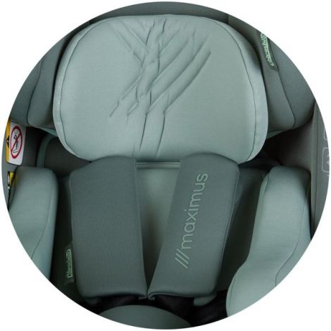 Chipolino Maximus I-Size 0-12 ani Isofix - imagine 14