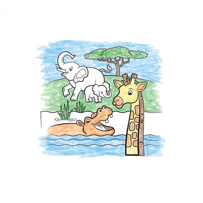 Set Pictură cu Apă Safari Melissa & Doug