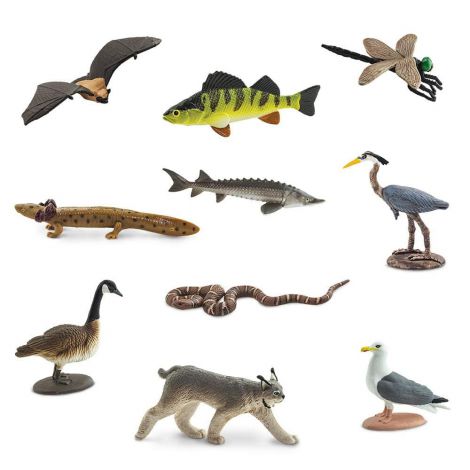 Tub Figurine Zona Marilor Lacuri Safari Ltd - imagine 2