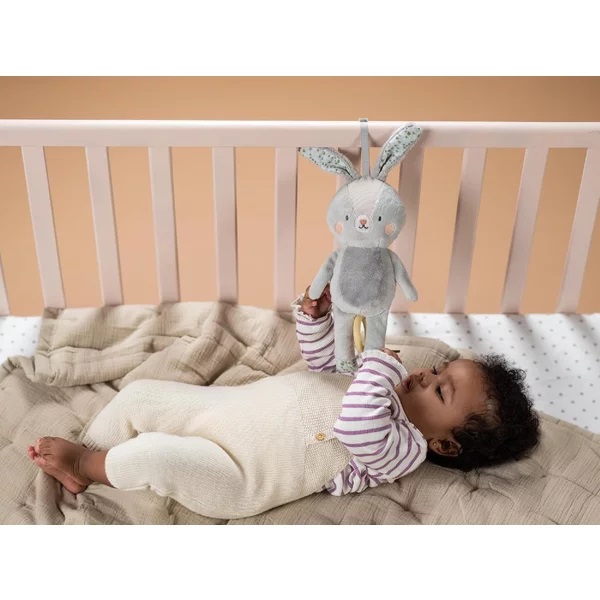 Jucarie Muzicala Taf Toys Iepurasul Rylee