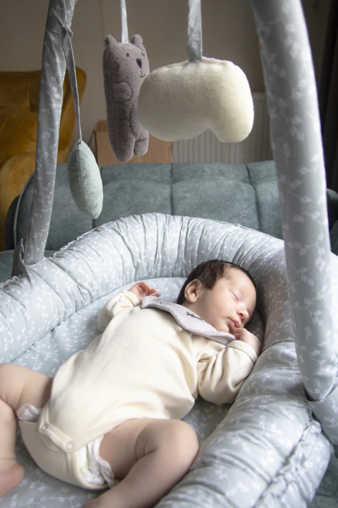 Salteluta Baby Nest Babyjem Gri | Somn Sigur - imagine 3