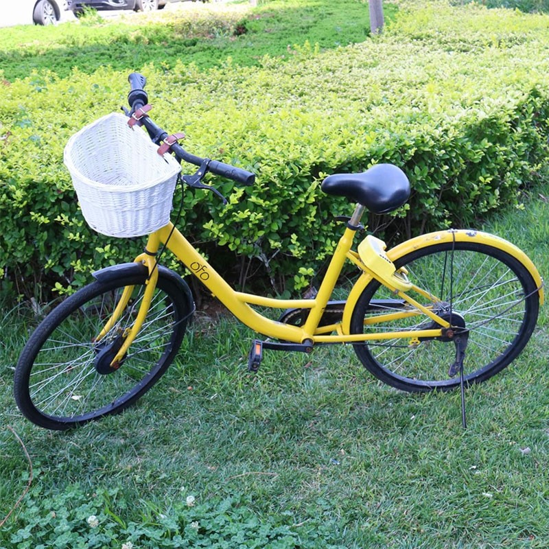 Cos Frontal Bicicleta Procart Ratan Alb - imagine 7