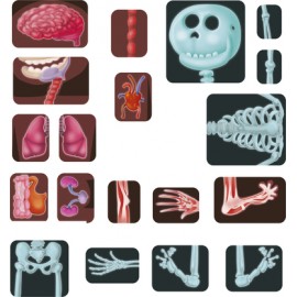 Joc Magnetic Corpul Uman Miniland | Anatomie - imagine 3