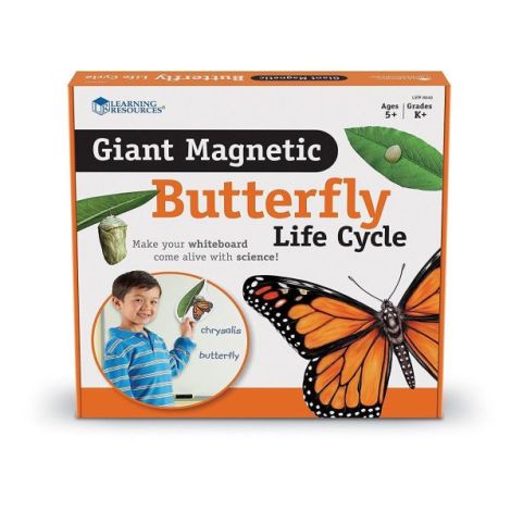 Set Magnetic Ciclul Fluturelui - Learning - imagine 2