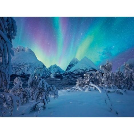Ravensburger Puzzle Arctic 1500 piese Spectacol