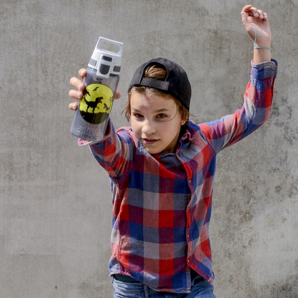 Bidon SIGG Viva One Dinos 0.5L