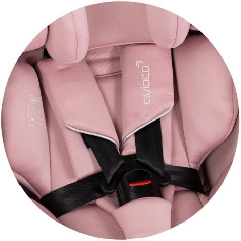 Chipolino Aviato I-Size Scaun Auto 0-12 Ani - imagine 10