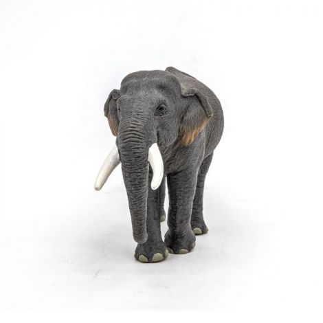 Papo Elefant Asiatic - Figurina Educativă 3+ - imagine 5