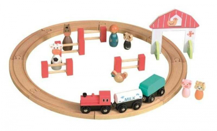 Circuit Tren Egmont Lemn, +3 Ani